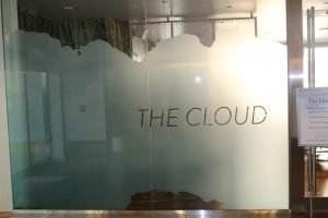 Vinyl window privacy film